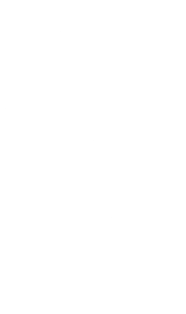 EMF 4 Paranormal